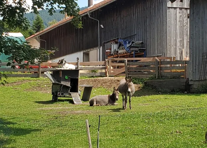 Camping Biohof Dimper - - Keine *
